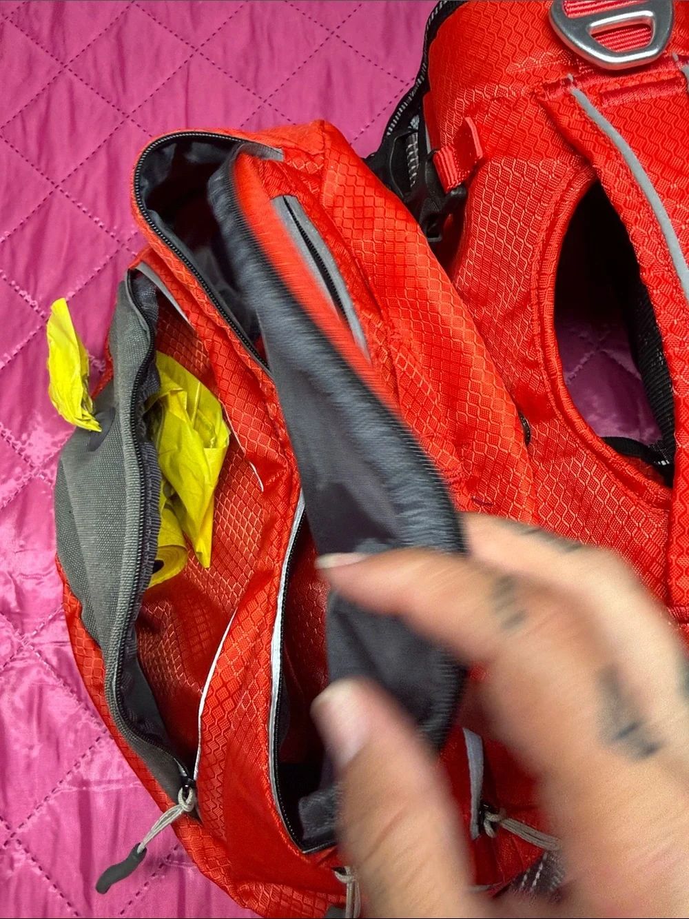 Dog Arcadia Lightweight trail Pack